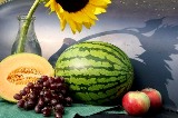 Harvest to Market Watermelon Logo-Chris Adams