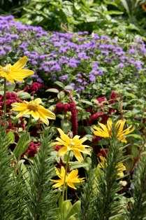 Flowers-Chris Adams