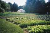 Market Garden