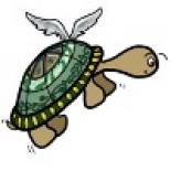 the turtle