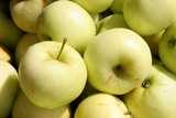 Apples Yellow-Chris Adams