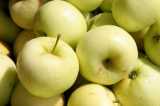 Apples-Chris Adams