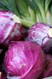 Purple Cabbage-Chris Adams