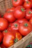 Tomato Basket-Chris Adams