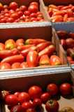 Tomatoes boxed-Chris Adams
