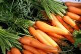 Chris Adams-Carrots