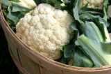 Cauliflower-Chris Adams