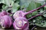Purple Veggies-Chris Adams